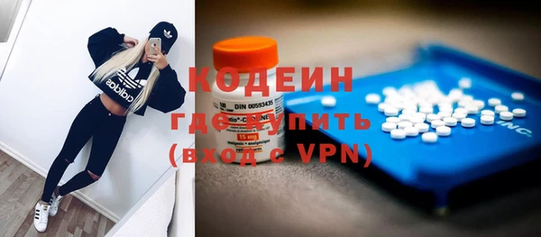соль ск Ладушкин