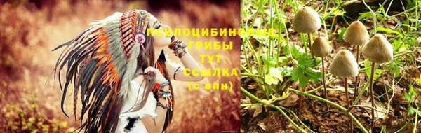 MESCALINE Лабытнанги