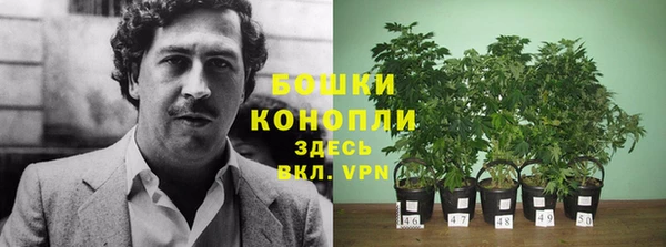 соль ск Ладушкин